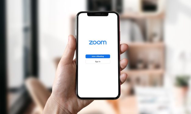 Why You Should Download Zoomée Today