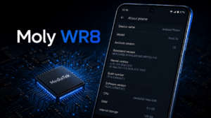 Moly WR8 Explained: Meaning of that, Uses, and Complete Device Details.