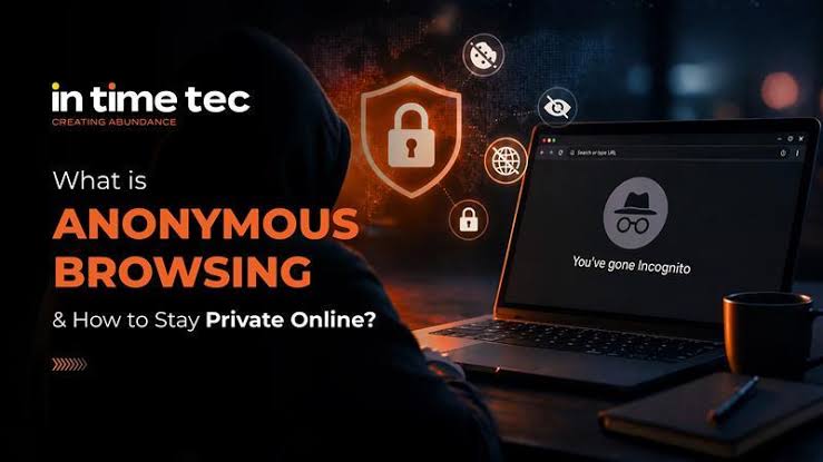 PVStory Review: A Useful Instagram Viewer or a Risky Privacy Shortcut?