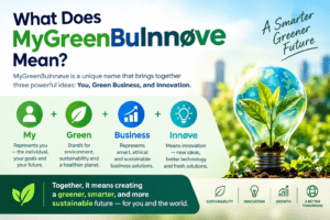 What Does MyGreenBuInnøve Mean?